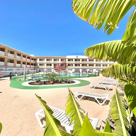 Comfortable Studio In The South Of Tenerife, With Wifi And Climatized Pool Lejlighed