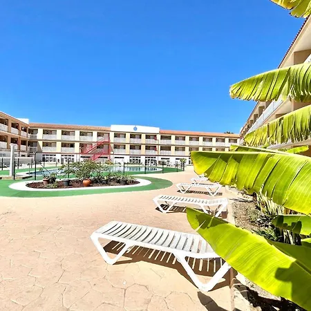 Comfortable Studio In The South Of Tenerife, With Wifi And Climatized Pool